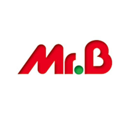 Logo carré Monsieur Bricolage